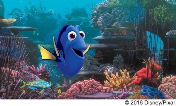 『ファインディング・ドリー』MovieNEX発売決定！お馴染みの“隠れキャラ”発見!?