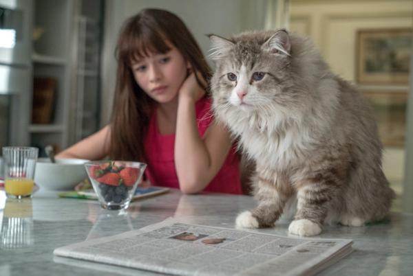 【予告編】ケヴィン・スペイシーも猫の習性には逆らえニャい!?『メン・イン・キャット』