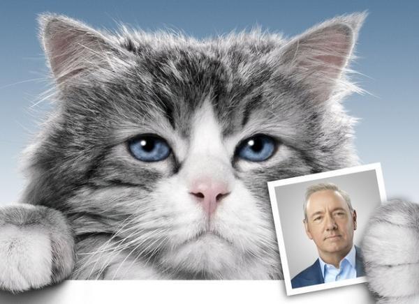 【特別映像】あの大ヒット“入れ替わり”映画をパロディ！『メン・イン・キャット』