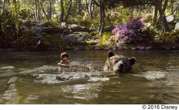 【予告編】『アイアンマン』監督が贈る驚異の映像体験！『ジャングル・ブック』MovieNEX発売