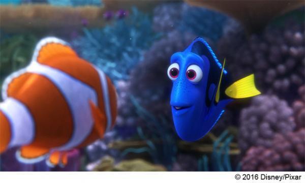 【特別映像】ドリーがまたも勘違い!? コミカルな未公開シーンが到着『ファインディング・ドリー』