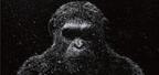 『猿の惑星』最新作、人類vs猿たちの大戦記“グレート・ウォー”来年公開決定