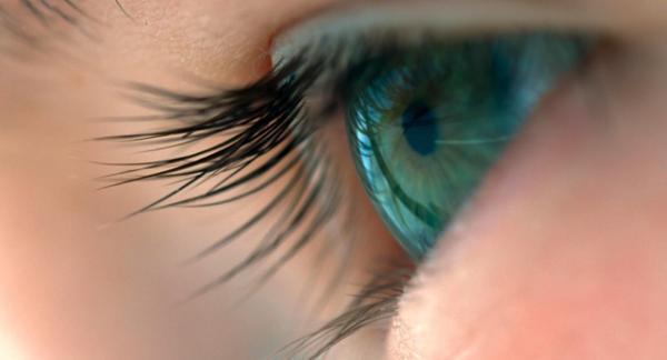 【予告編】ケイト・ブランシェットの声で贈るテレンス・マリックの集大成『ボヤージュ・オブ・タイム』