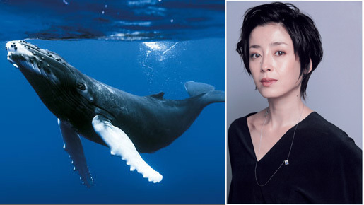 宮沢りえ、出産後初の本格映画復帰　『オーシャンズ』のナビゲーターに大抜擢！