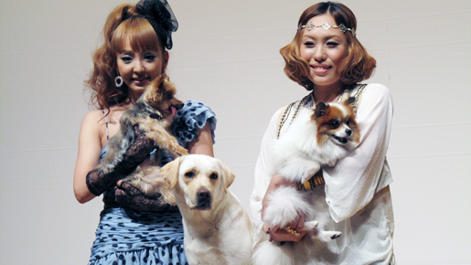 うの　愛犬と夫と過ごす時間比率は「半分半分」