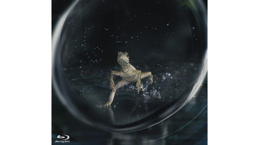 1秒8,000コマの命の躍動に目を凝らせ！　「BBC EARTH」特別映像が到着