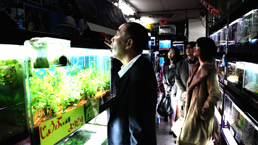 キーワードを集めて幻の“超過激”映像を観よう！『冷たい熱帯魚』動画キャンペーン