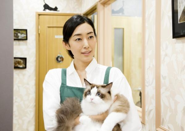 田口トモロヲ＆木村多江＆大久保佳代子、アプリ実写化映画『ねこあつめの家』に出演！