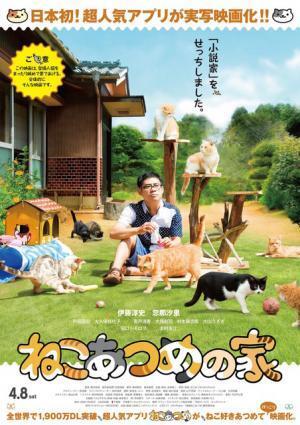 伊藤淳史主演『ねこあつめの家』“キャット”＆“キャスト”集結ポスター完成