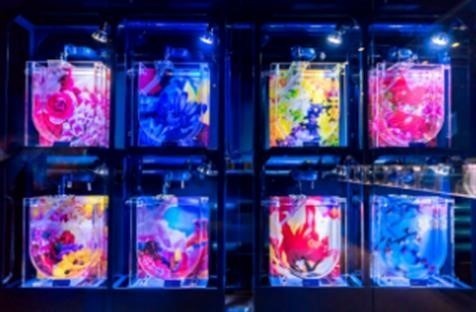 「すみだ水族館」で「ふわきゅん、クラゲまつり」開催！クラゲの神秘的な世界に浸るイベント満載