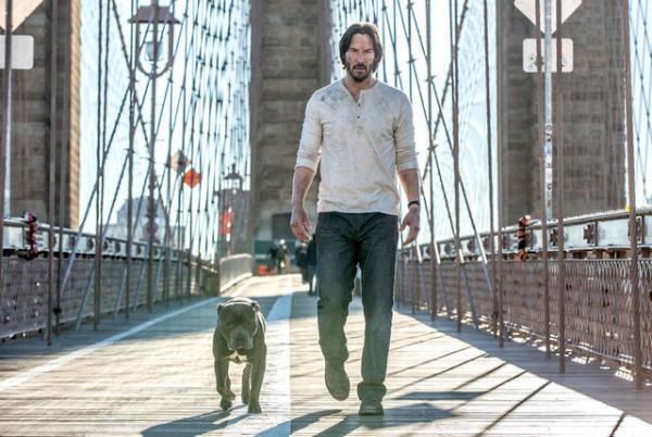 キアヌ・リーブス主演『ジョン・ウィック』続編、七夕公開へ！「レベルが上がっているよ」