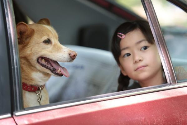 春近し、キュートな動物たちが映画に大集合！『話す犬を、放す』『SING』ほか
