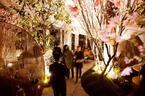 アンダーズ 東京「ルーフトップ バー」で夜景とお酒＆美食が楽しめる「さくら ガーデン」開催