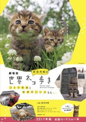 【予告編】猫ブームの原点！「岩合光昭の世界ネコ歩き」初の劇場版が今秋公開