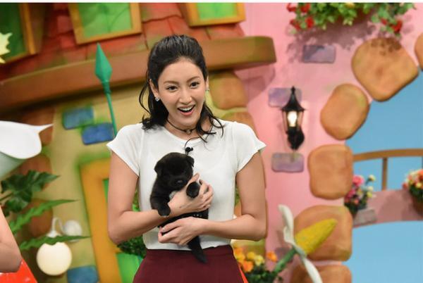 菜々緒、「保護ネコゼロ部」その後をオンエア「天才！志村どうぶつ園」