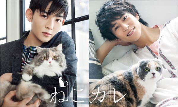 竜星涼＆佐野岳らキュートな猫と戯れる！「ねこカレ」写真展開催