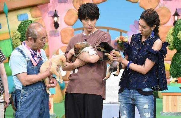福士蒼汰、自らが触れあった保護犬の譲渡会へ「天才!志村どうぶつ園」