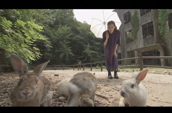 綾瀬はるか、“うさぎ島”広島県・大久野島でもうひとつの戦争の爪痕を取材