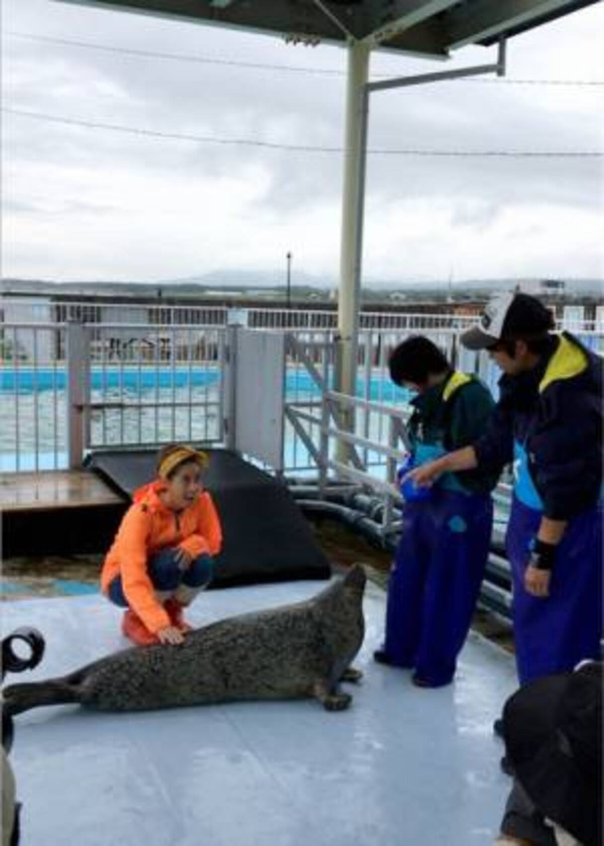 竹内涼真が捨て犬ゼロ部に 山田涼介は犬派 猫派 天才 志村どうぶつ園 17年9月2日 ウーマンエキサイト 1 2