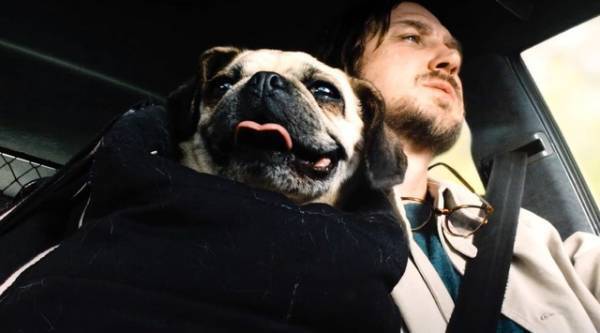 ブサカワ犬・ガンジー、“ふがふが”映像到着！『ブルーム・オブ・イエスタディ』