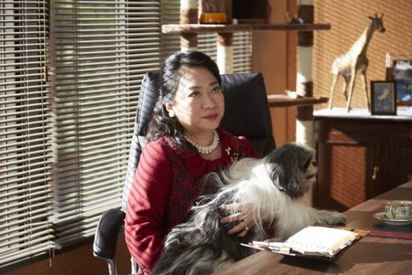 桐谷美玲、個性的なファッションを披露！ ジャージ＆軍服、そして…呪術師!?