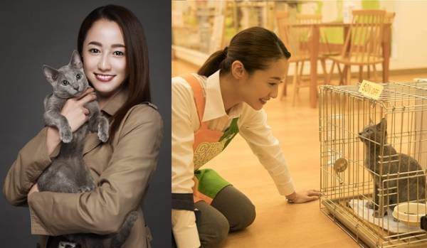 沢尻エリカ、6年ぶりの主演作は“猫映画”！ 犬童一心監督と初タッグ『猫は抱くもの』