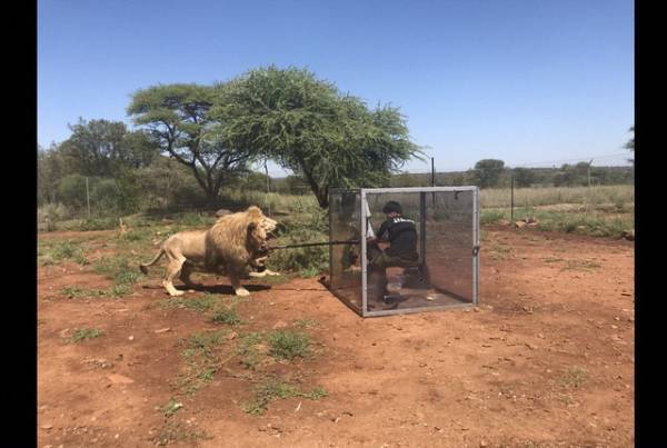 吉岡里帆、動物たちの“特殊能力”に驚愕!?「新どうぶつ奇想天外！」