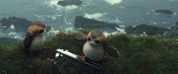 ウルウルの瞳に悶絶！ポーグのとっておき画像入手『スター・ウォーズ／最後のジェダイ』