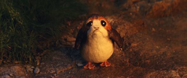 ウルウルの瞳に悶絶！ポーグのとっておき画像入手『スター・ウォーズ／最後のジェダイ』