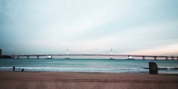 韓国・釜山の街を疾駆！『ブラックパンサー』大迫力のカーチェイスの裏側