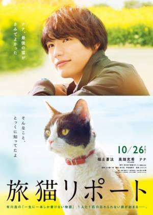 高畑充希、福士蒼汰の相棒“猫”に！ 『旅猫リポート』特報公開