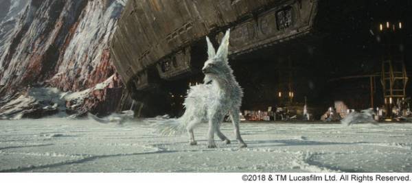 『最後のジェダイ』美しすぎるクリーチャー“ヴァルプテックス”の制作裏に潜入！