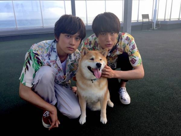 北村匠海と中川大志が湘南で犬＆猫と触れ合う！「もふもふモフモフ」夏の拡大SP