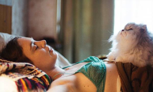 フランス映画から覗く“パリの猫たち”…『オーケストラ・クラス』『若い女』