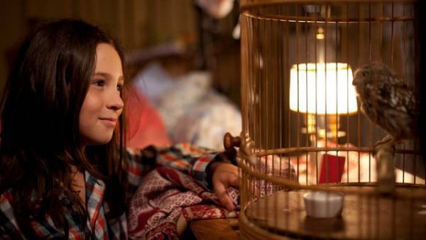 喋る“フクロウ”が少女を見守る守護天使に！『マチルド、翼を広げ』日本公開決定