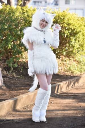 飯豊まりえの白猫セクシーショット解禁！ 『トラさん』