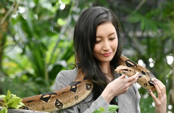 山下智久の“イケボ”に感動の声殺到、濱田岳＆菜々緒にも高評価集まる…「インハンド」1話