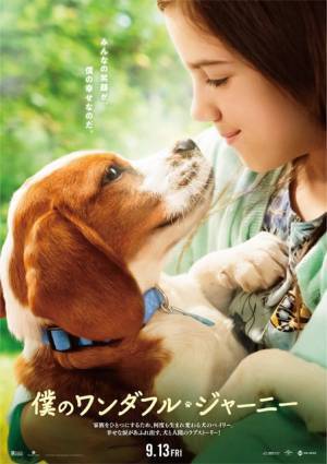 見つめ合う少女と犬の姿…幸せな涙溢れる予感の『僕のワンダフル・ジャーニー』ポスター