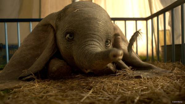 ティム・バートンが空を飛ぶ？ コリン・ファレルもニコニコ笑顔『ダンボ』NG集