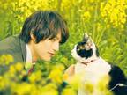 福士蒼汰出演『旅猫リポート』未公開カットを追加した「TV特別版」を放送