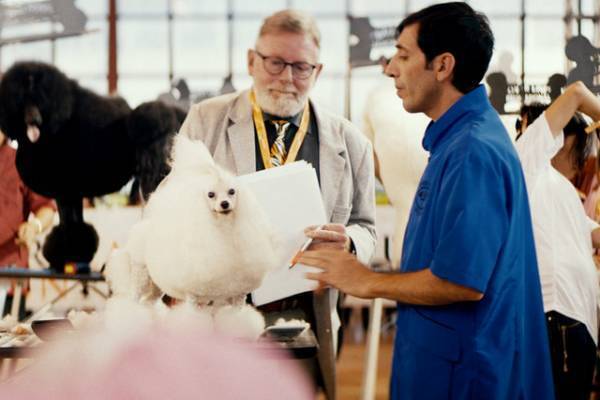 人と犬の息ぴったりの演技！『ドッグマン』冒頭映像公開
