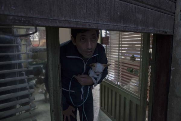 パルム・ドッグ賞受賞！ “俳優犬”チワワの名演『ドッグマン』本編映像