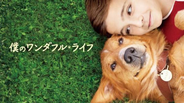 最新作に繋がる犬と人間の感動物語『僕のワンダフル・ライフ』地上波初放送
