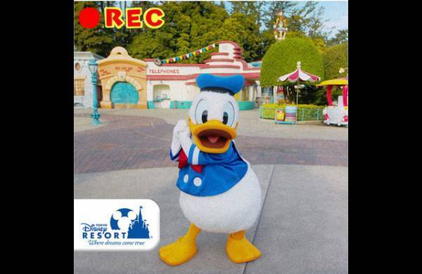 【ディズニー】2019年TDR公式SNSランキング発表！ナンバーワン“いいね”は？