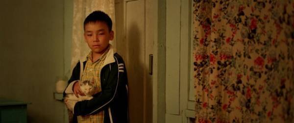 父を亡くした少年に寄り添うカザフスタンの愛らしい子猫たち『オルジャスの白い馬』