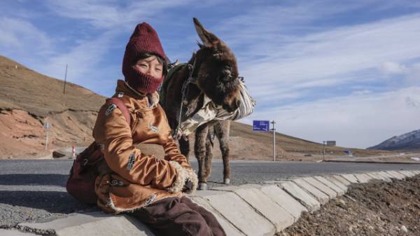 「チベットではよくあること」死者の魂と巡礼する理由とは…『巡礼の約束』監督語る