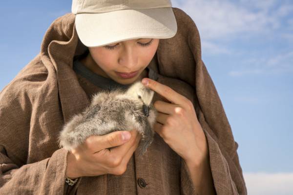 ふわかわヒナ鳥と少年の仲良し写真入手『グランド・ジャーニー』7月23日公開