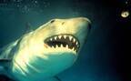 水族館に人食いザメが襲来、海洋パニックシリーズ第3弾…映画天国『ジョーズ3』