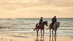 テリーサ・パーマーの乗馬練習が公開『ライド・ライク・ア・ガール』オフショット写真