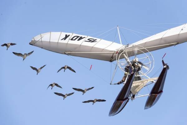 ほぼCGなしで撮影！『グランド・ジャーニー』雁と飛行する驚異の映像到着